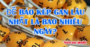 Đề báo kép gan lâu nhất là bao nhiêu ngày?